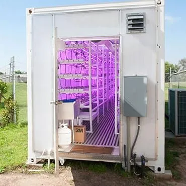 Customizable Hydroponic Container Greenhouse for Vegetables