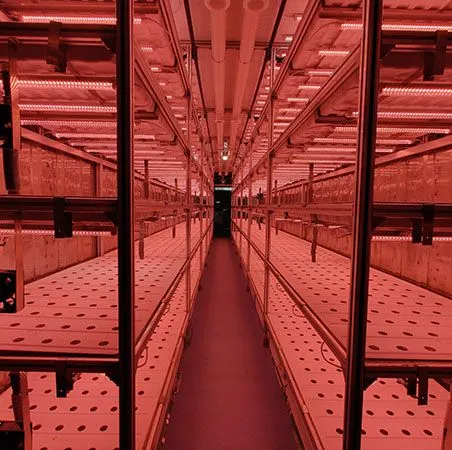 Vertical Farming Hydroponic Container Greenhouse