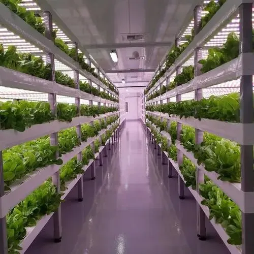 Hydroponic Vertical Farming Container Greenhouse with LED System