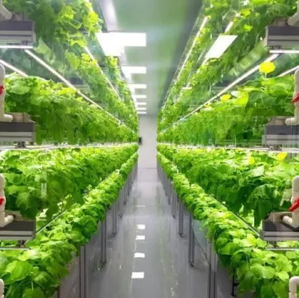 Vertical Farming Hydroponic Container Greenhouse