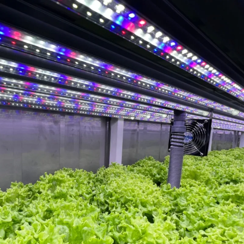 Customizable Hydroponic Container Greenhouse for Vegetables