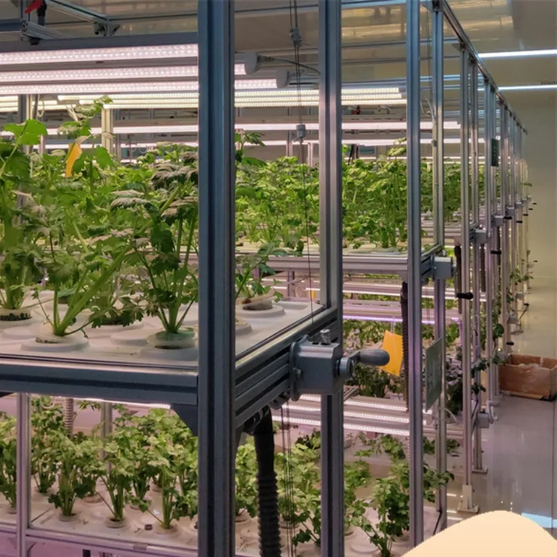 Customizable Hydroponic Container Greenhouse for Vegetables