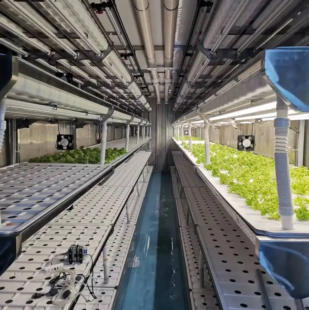 Vertical Farming Hydroponic Container Greenhouse