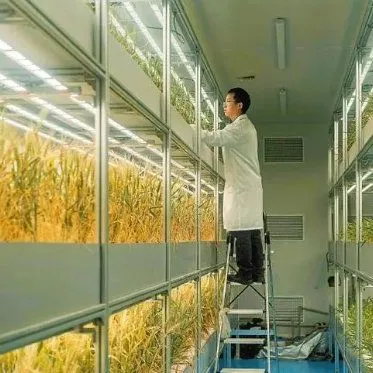 Vertical Farming Container Greenhouse Hydroponics System