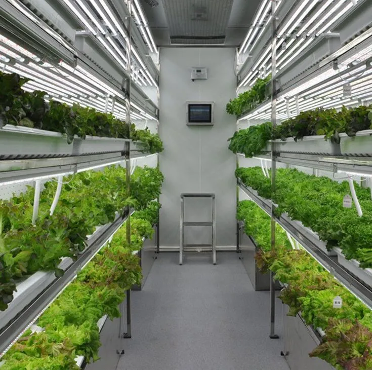 Vertical Farming Hydroponic Container Greenhouse