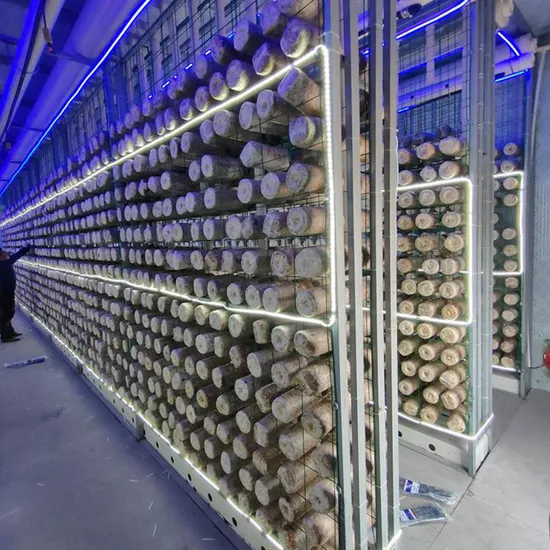 Smart Hydroponic Agricultural Container Greenhouse Farm