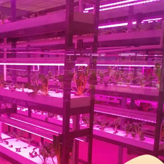 Vertical Farming Container Greenhouse Hydroponics System