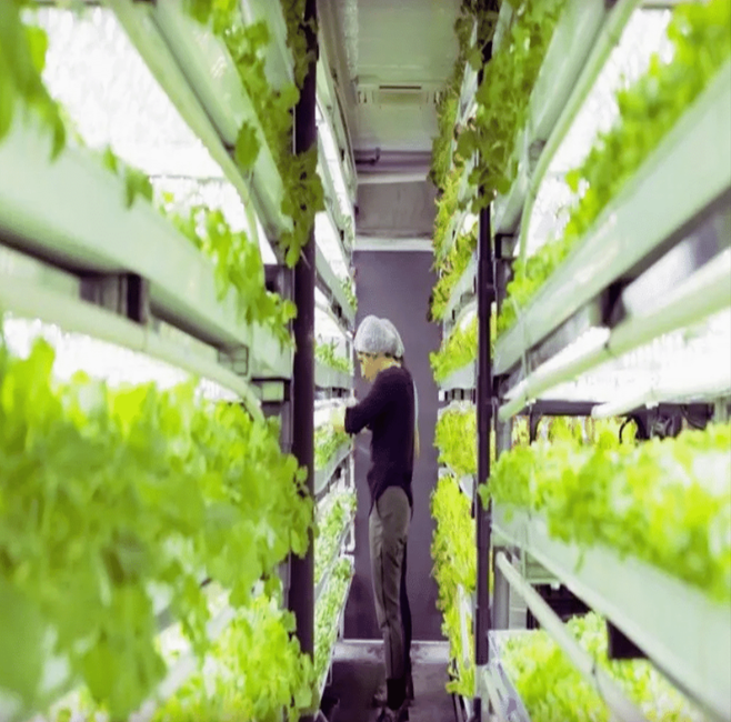 High Mobility Container Greenhouse for Vertical Planting